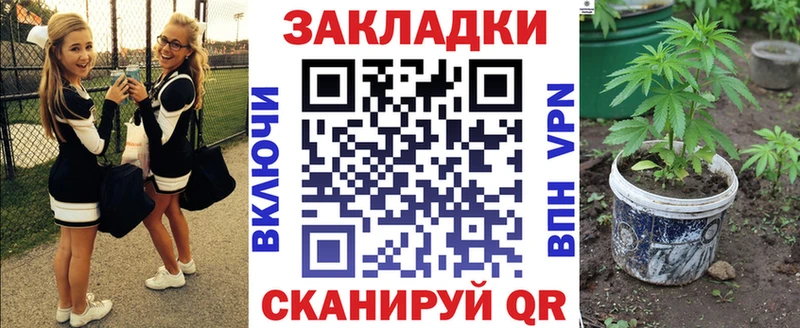 LSD-25 Нововоронеж