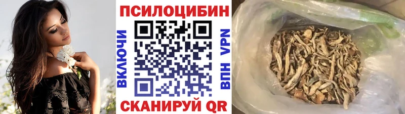 Псилоцибиновые грибы мицелий  Нововоронеж 